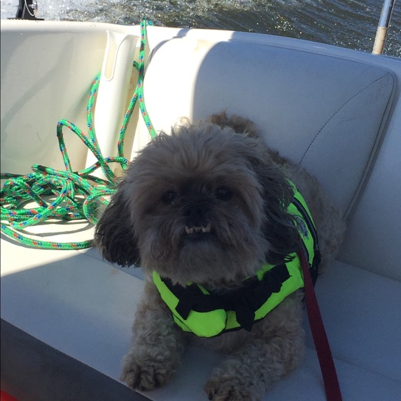 Meet your Posher, Joann - Picture 5 of 5